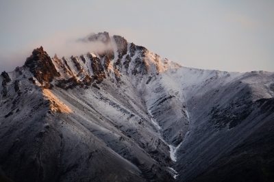 Professionista delle foto: arte a passeggio