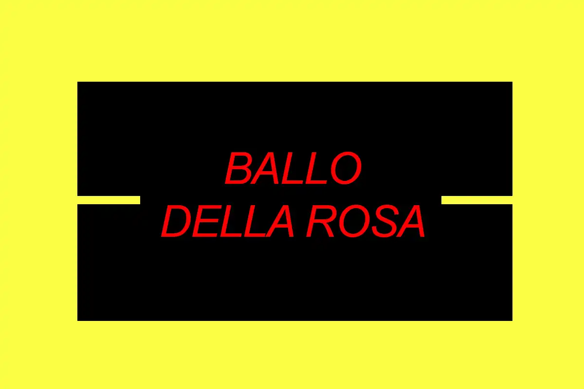 Servizio fotografico e Ballo della Rosa, evento indimenticabile!