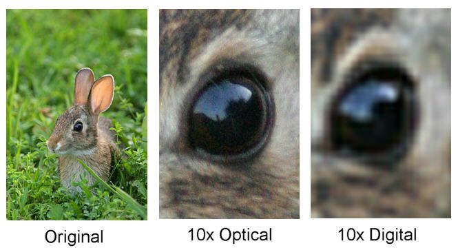 Fotografo professionista: qual è la differenza tra zoom ottico e zoom digitale?