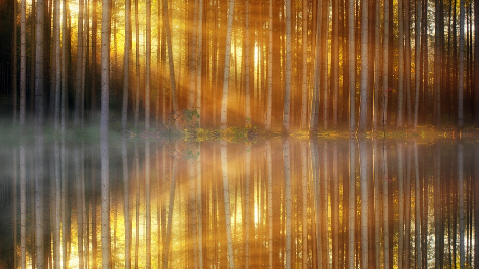 Come comportarsi con la luce ambientale