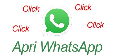 Chatta Con Me Subito con WhatsApp
