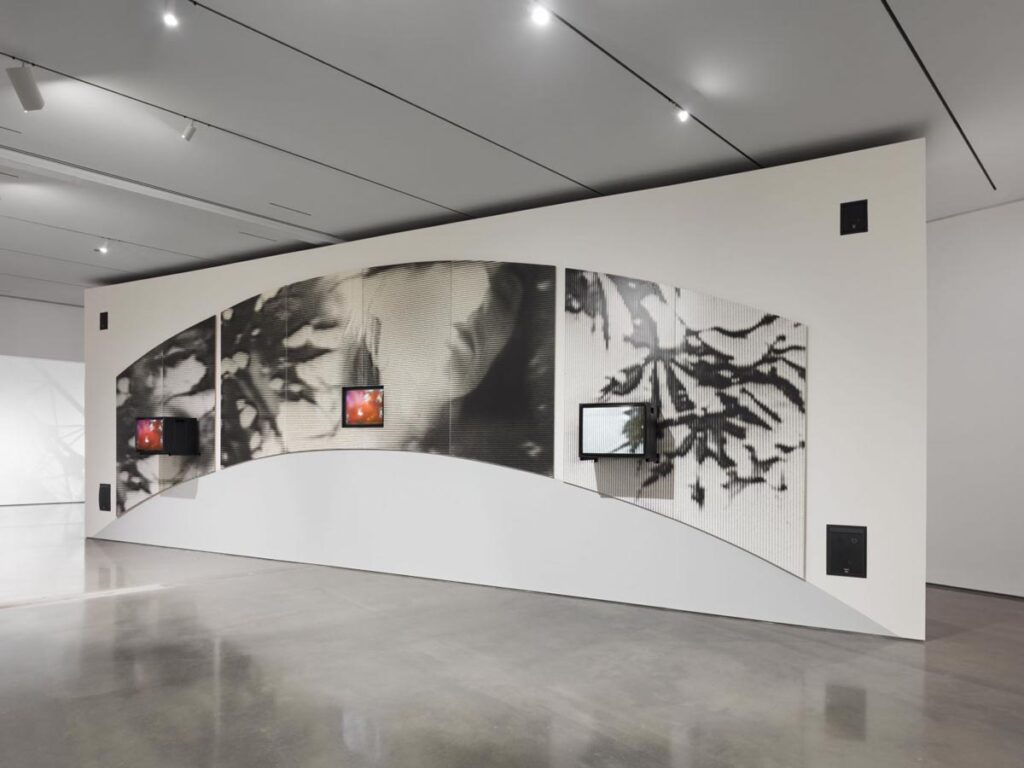 Dara Birnbaum Will O The Wisp